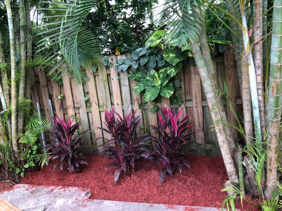 Ms. Marriott'S Str, Miami Villa Exterior photo